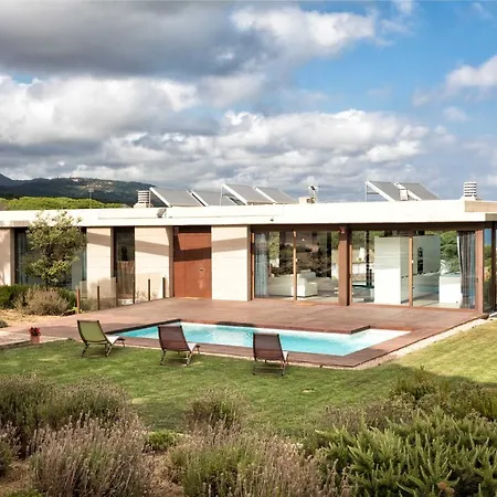 Tatil Evi House Tree *