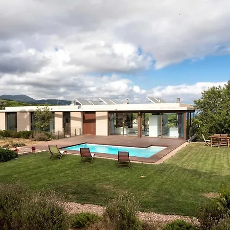 Tatil Evi House Tree