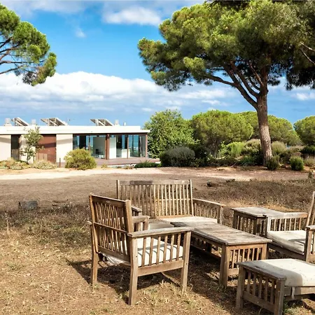 Tatil Evi House Tree