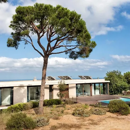 Tatil Evi House Tree Mataró